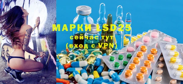 мяу мяу мука Алзамай